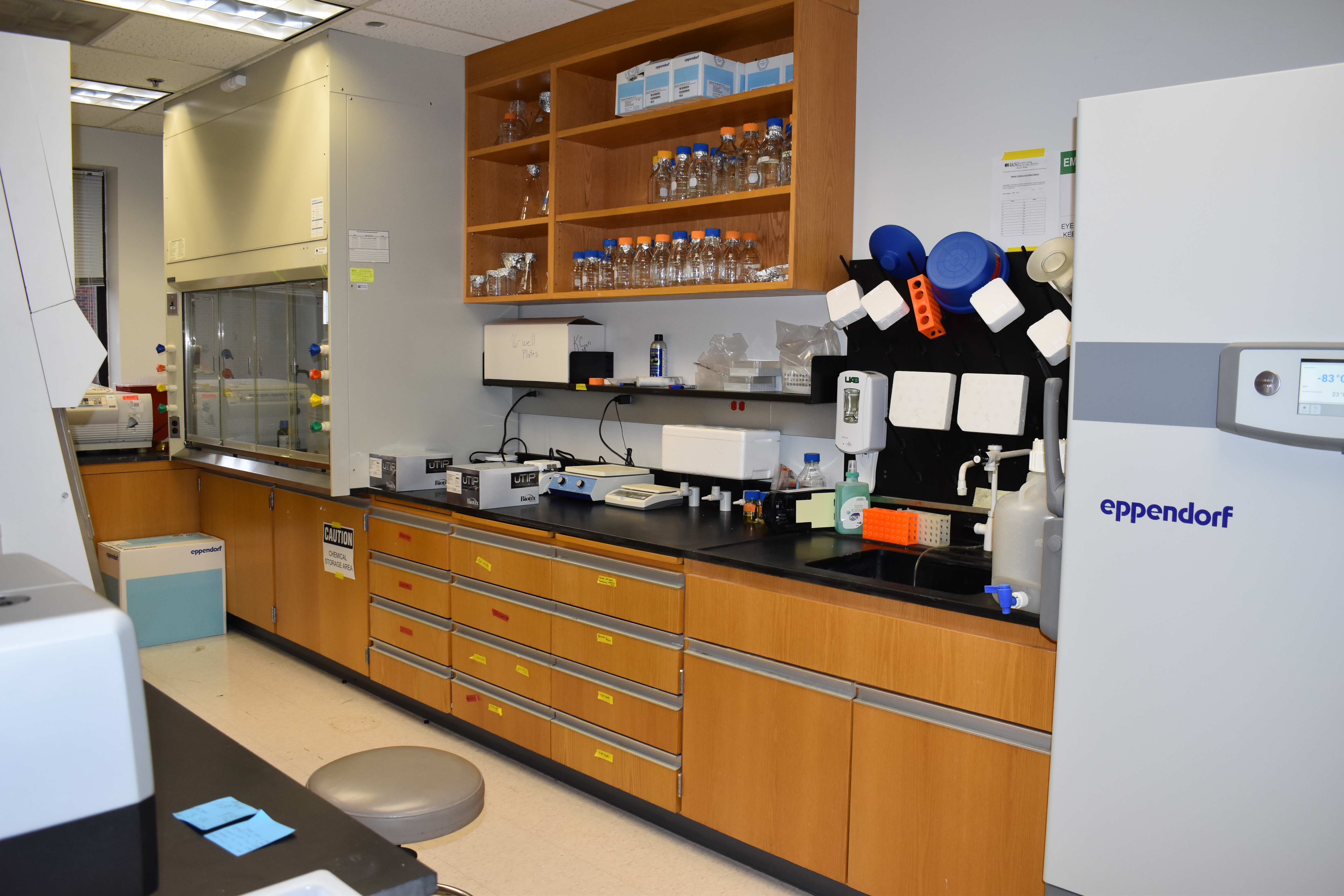 Lab Bay 1