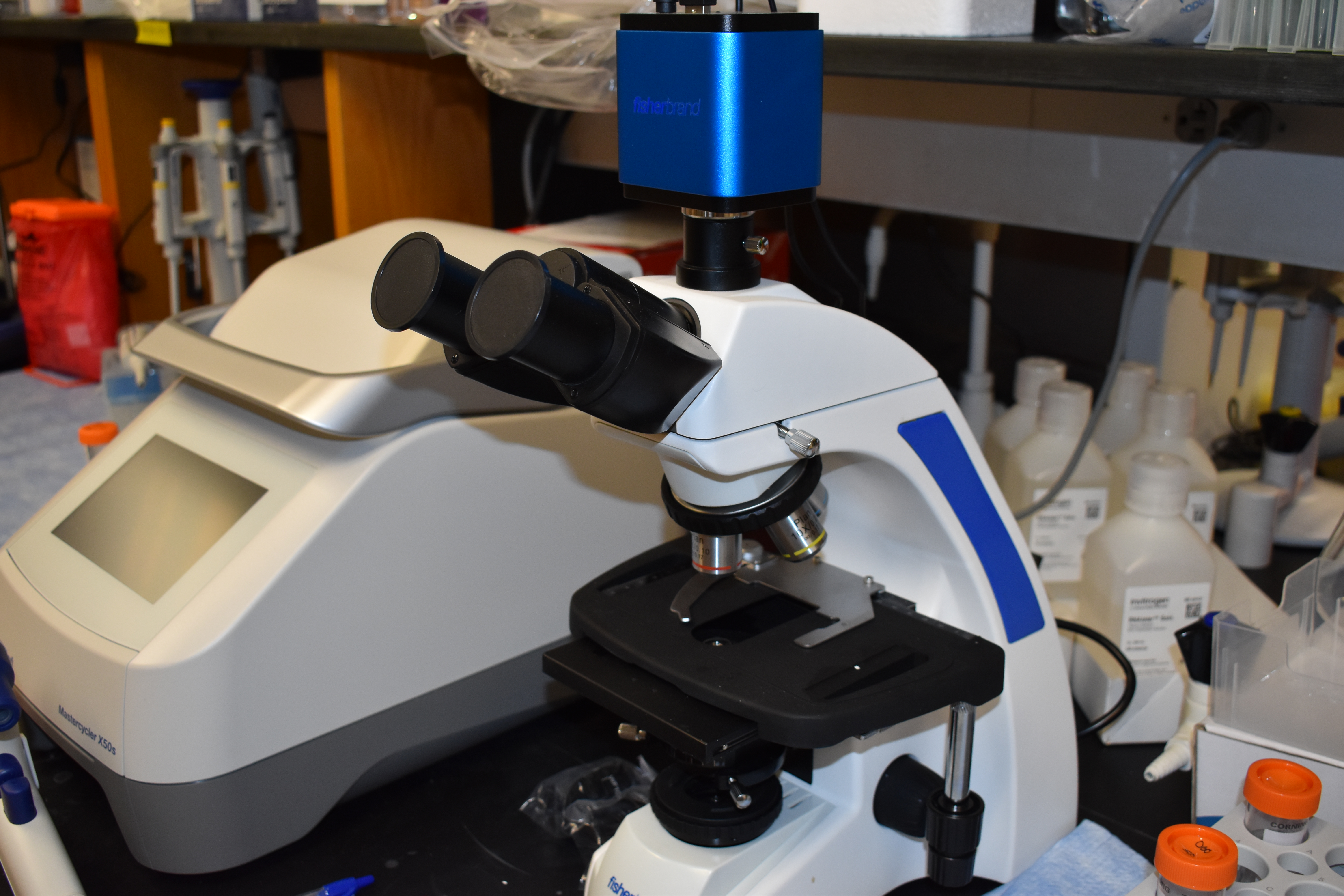 Microscope