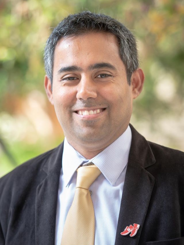 Vivek Nanda