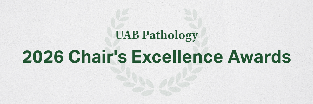 2025_Chairs_Excellence_Awards_Header.png