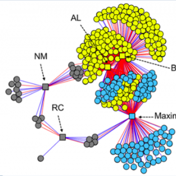 Darley-Usmar Lab