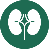 Pediatric Nephrology Research