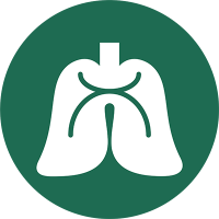 Pediatric Pulmonology Research