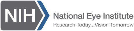 National Eye Institute (NEI) Institutional Mentored Physician Scientist Award (K12)