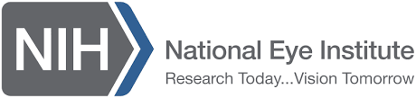 National Eye Institute Institutional Mentored Physician Scientist Award (K12)