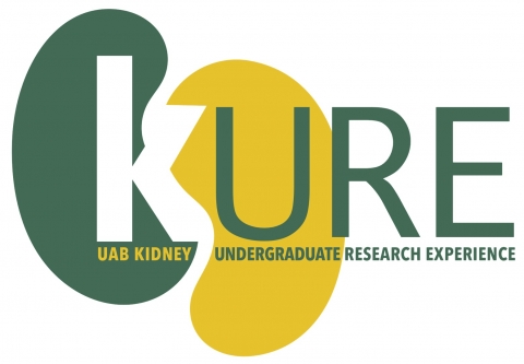 UAB Kidney, Urology, and Hematology Undergraduate Research Program (KUH KURE)