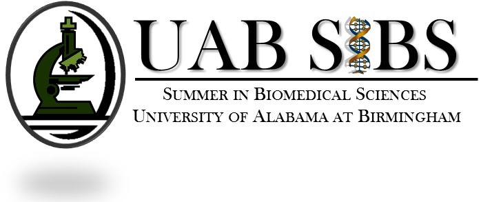 Summer In Biomedical Sciences (SIBS)