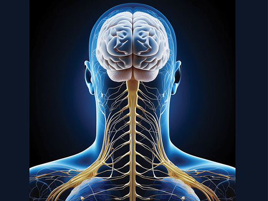 participate in physical medicine & rehabilitation research