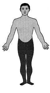 Para