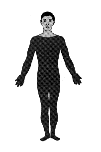 Tetra