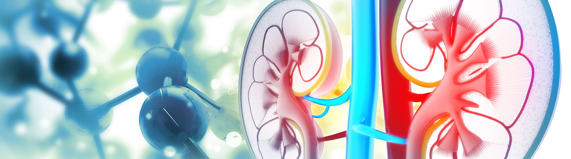 Urology UAB Urology uab