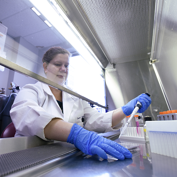 MS Center Lab 37