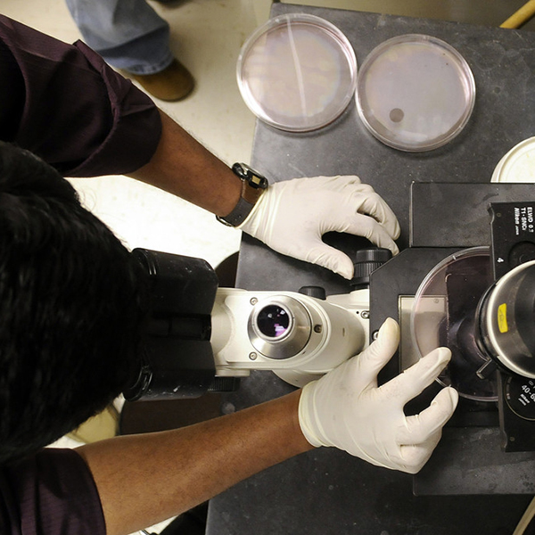 Research hands on microscope
