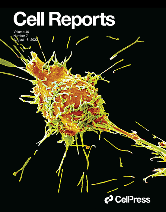 Inside CELREP 40 7 COVER