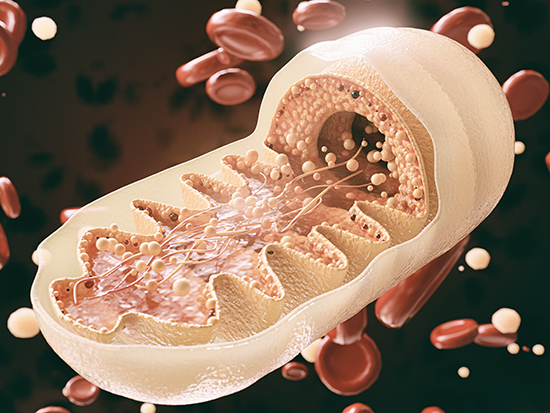 Stream Mitochondria