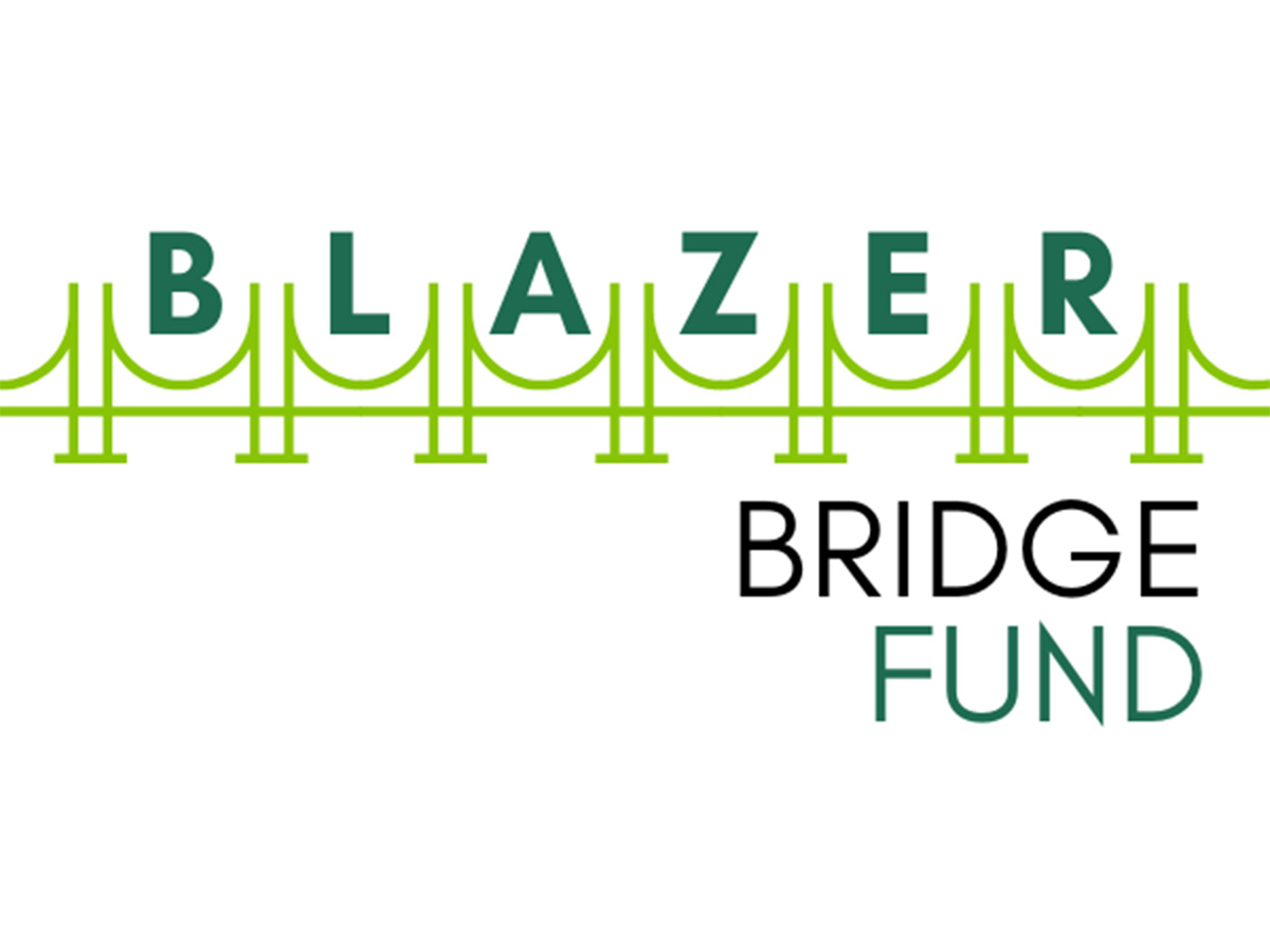 Blazer Bridge Fund Graphic