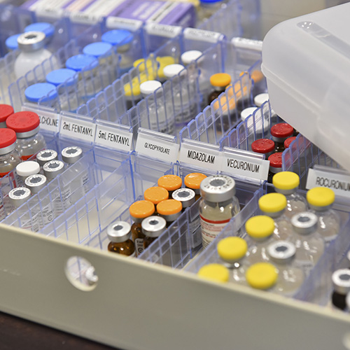 Pharmacology Update - 2026