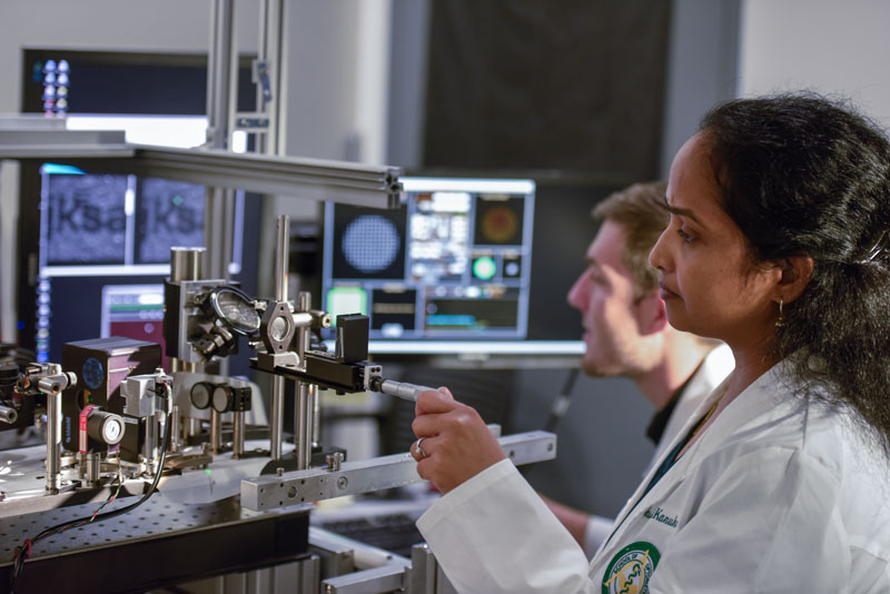 Systems Neuroscience