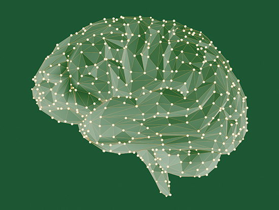 brain health illustration