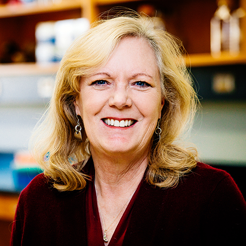 Anne Theibert