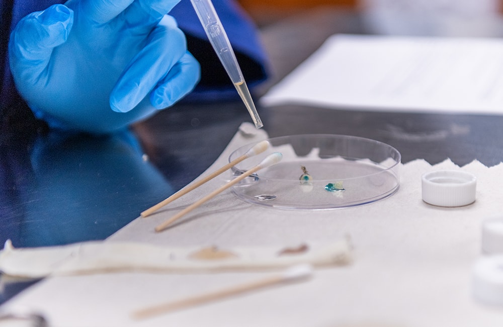 7 DNA Pipette
