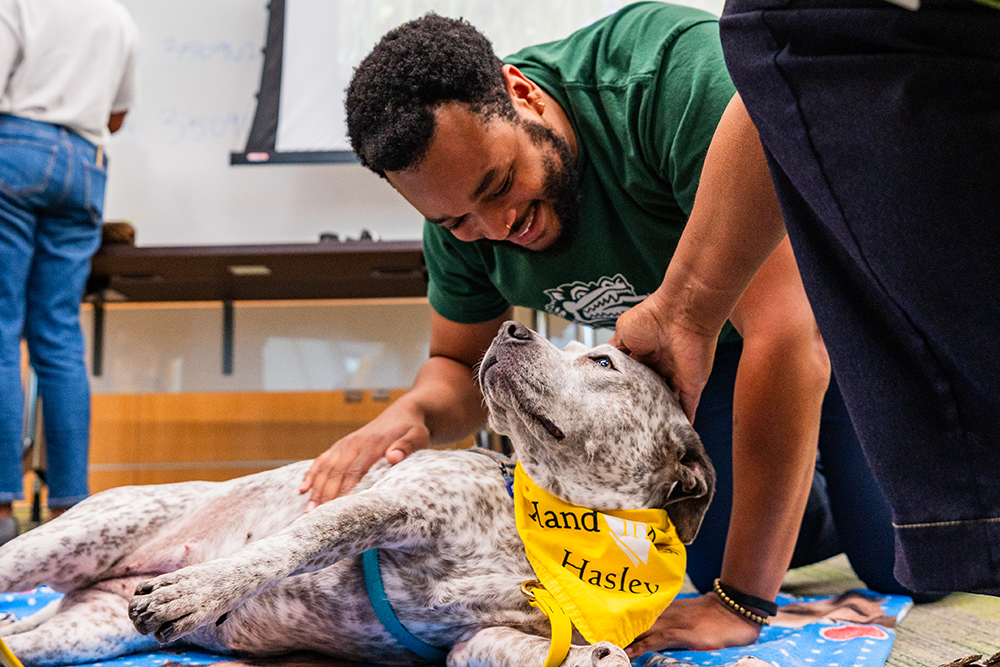 Employee pets a Hand in Paw dog at the Be Seen Relaxing in Green