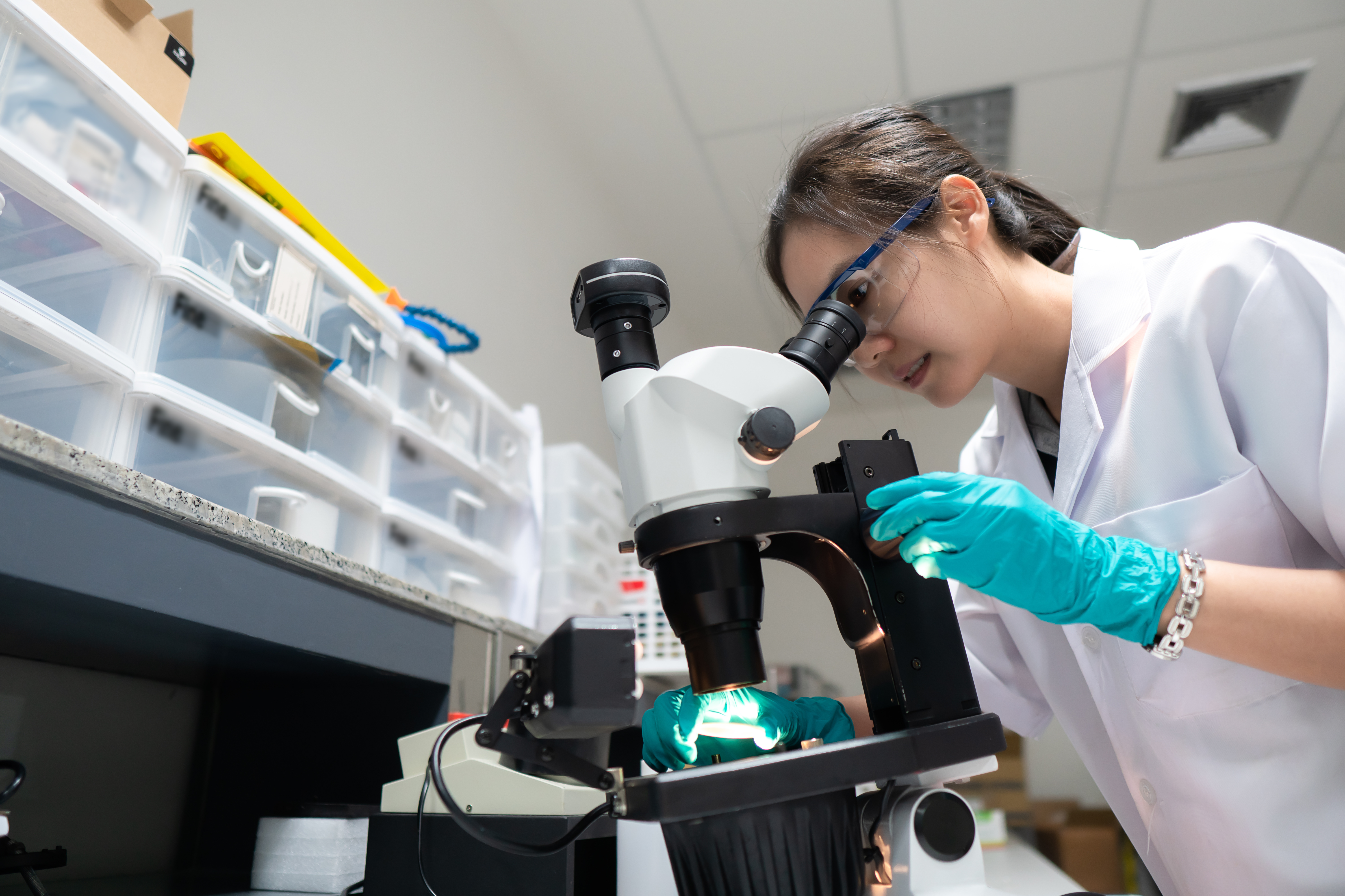 Biotech Phd 2