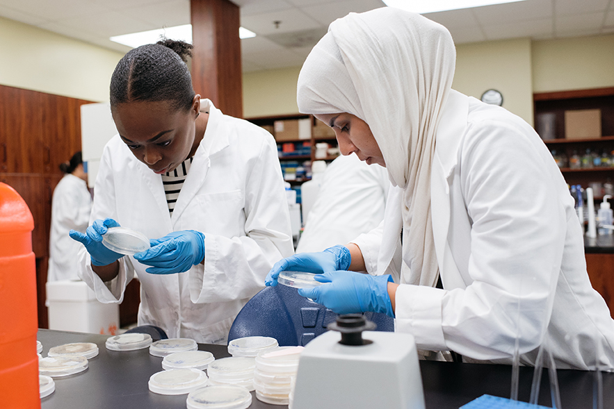 laboratory students