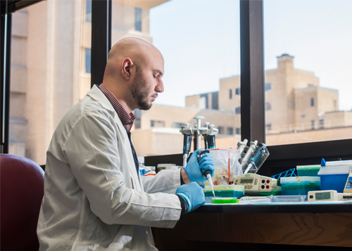 graduate student working in lab