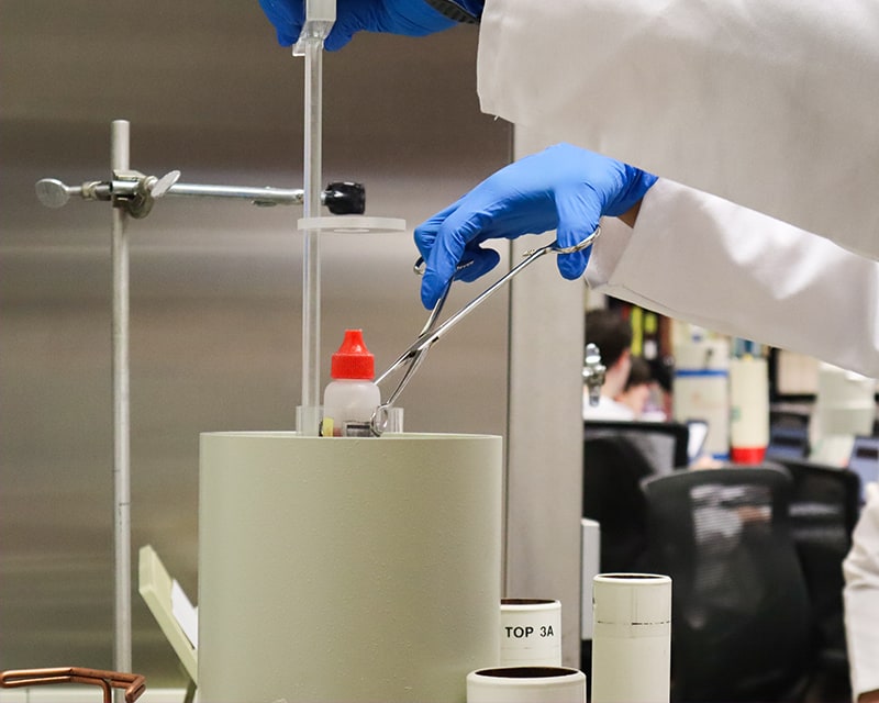 lab