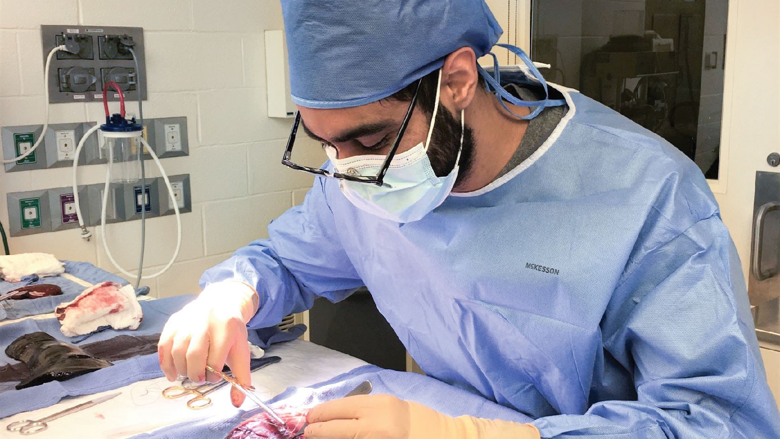 Surgical Dissection