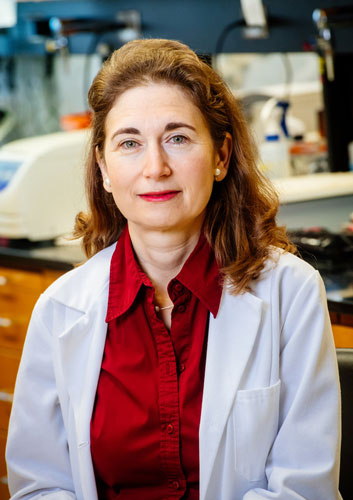 Anath Shalev, M.D.
