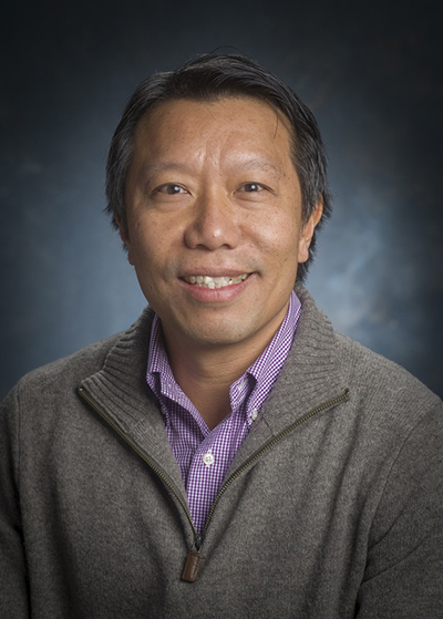 Type 1 diabetes: Tannic acid encapsulation protects transplanted islets from rejection