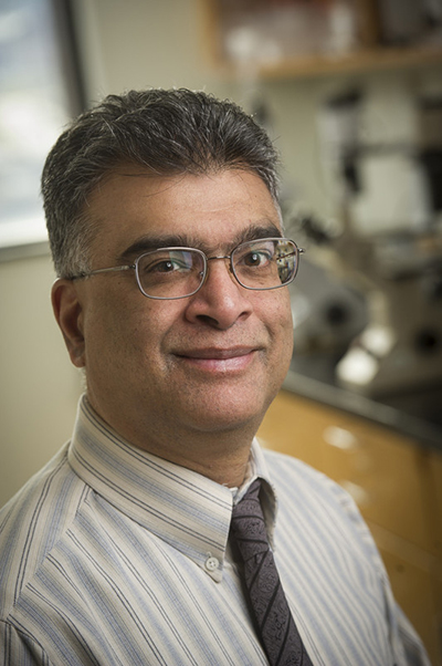 Pro-inflammatory lipids precede Type 1 diabetes onset in mouse model and children
