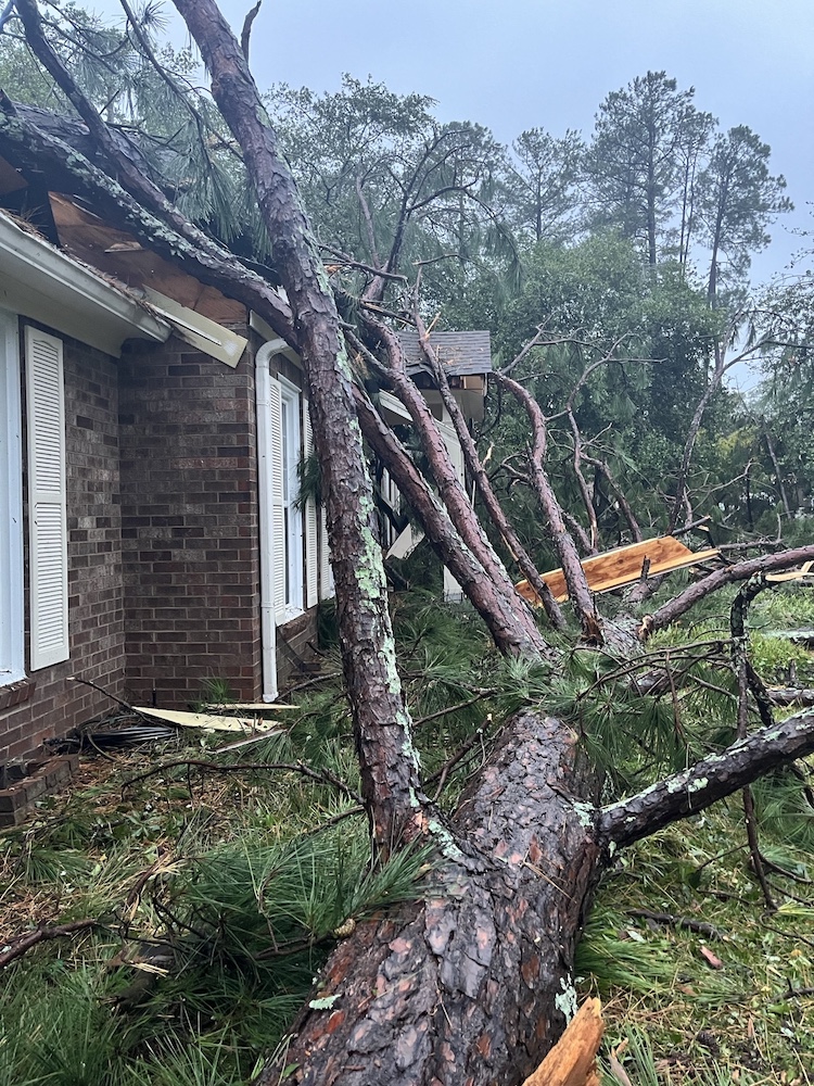 A tree fallen on the side of a house.