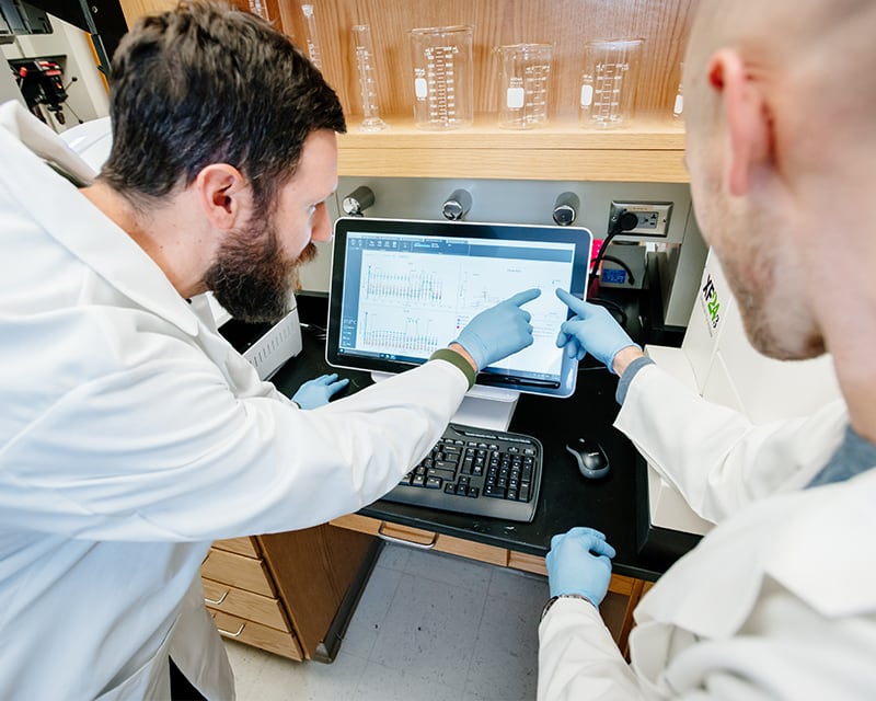 PhD students engaging in research in a lab.