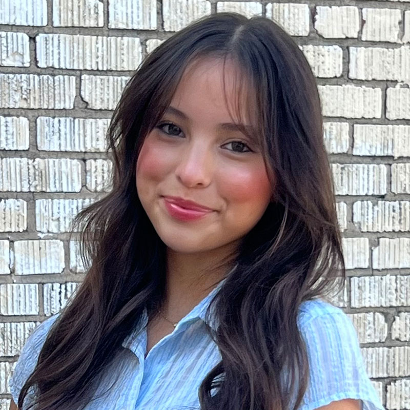 Novita Whillock