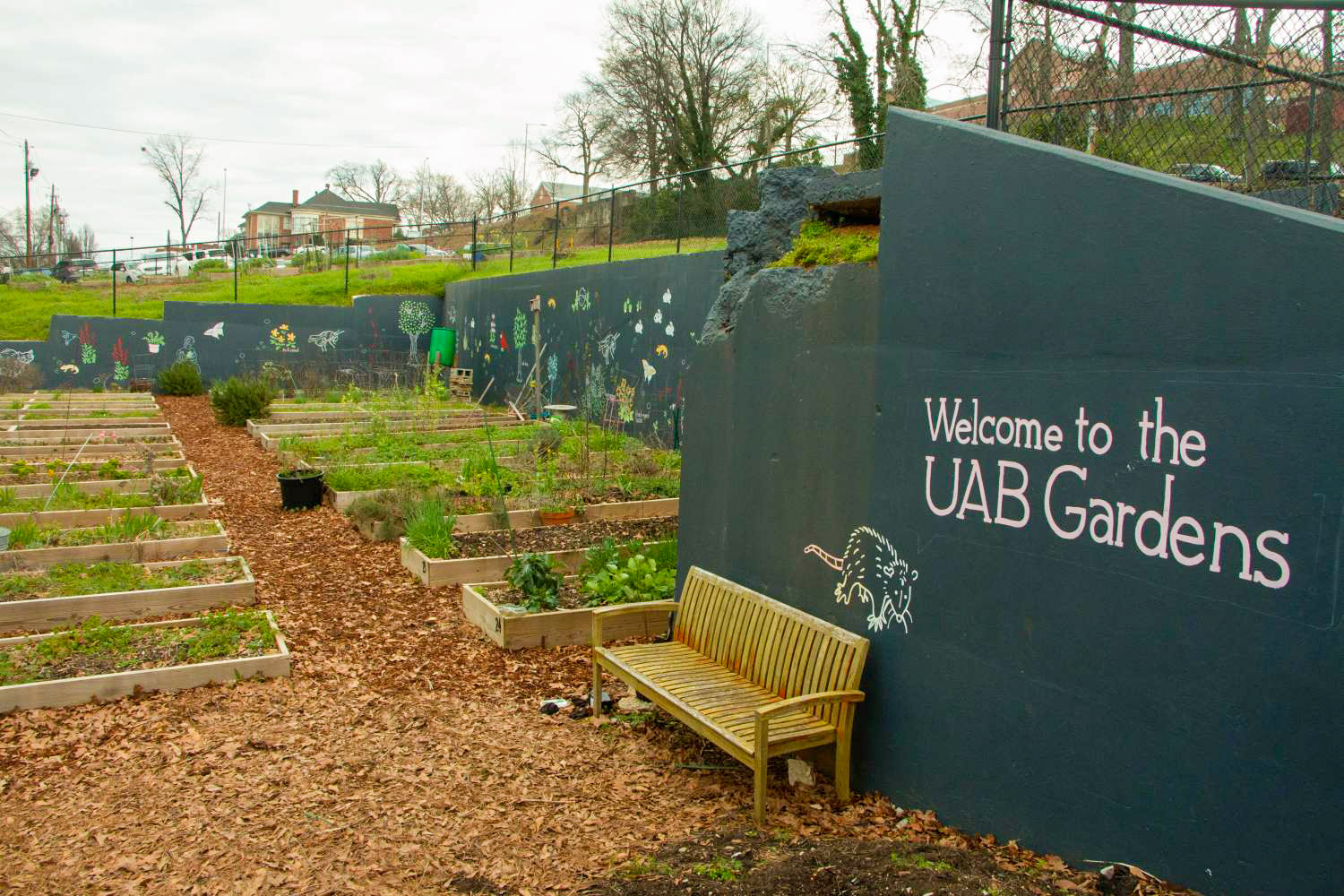 7Community Gardens
