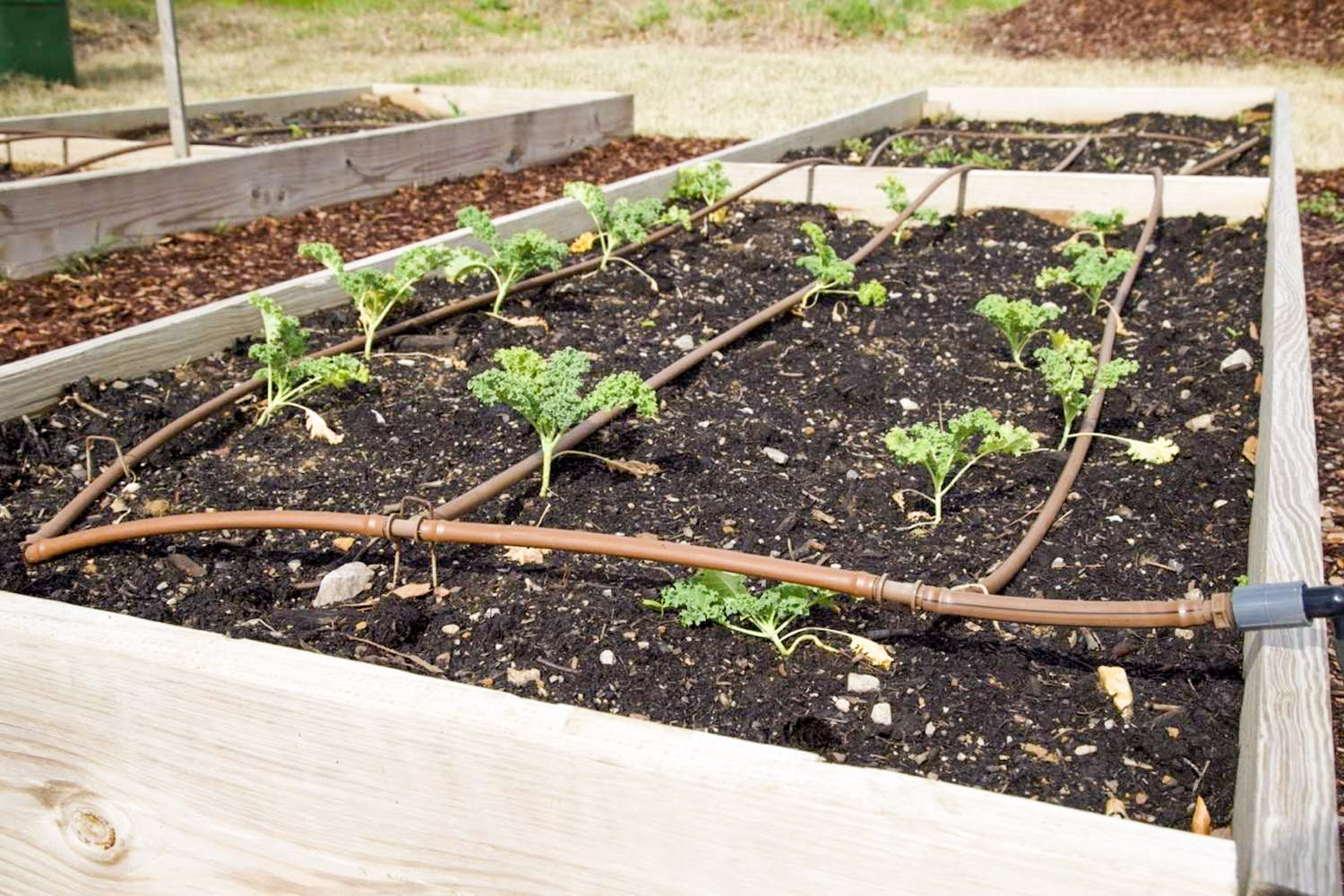 6Blazer Kitchen Garden