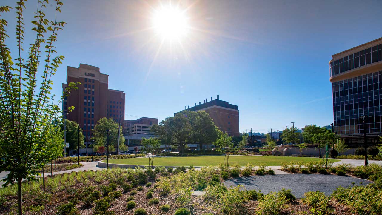 UAB’s Unity Park includes a lawn and beds with diverse plantings.